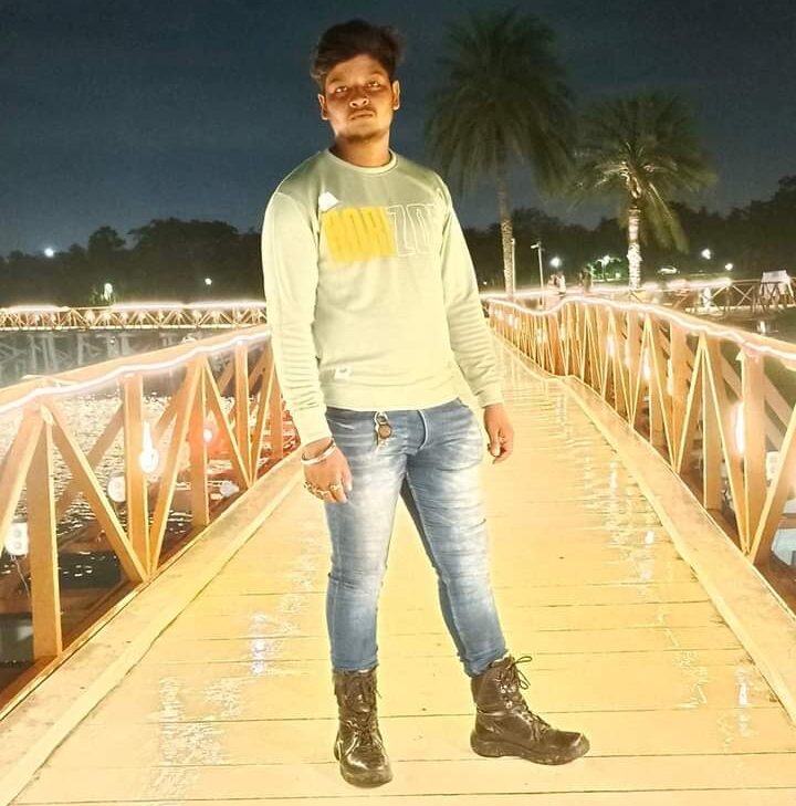 Pest Control Services