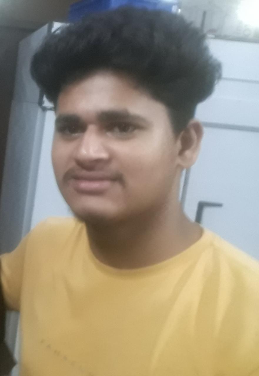 Pest Control Services