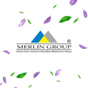 Pest Control Services