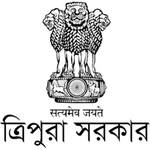 Pest Control Services