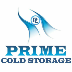 Pest Control Services